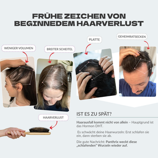 Aktivator +  GRATIS Shampoo